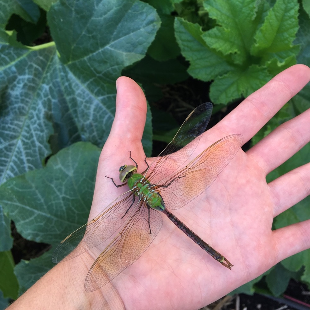 Meet your Posher, Kathryn